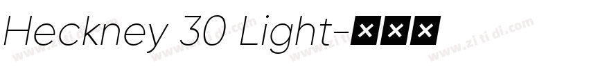 Heckney 30 Light字体转换